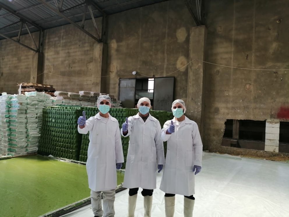 Olive Kingdom production